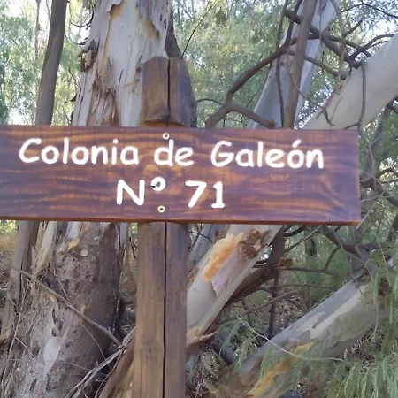 Colonia De Galeon Nº 71 *